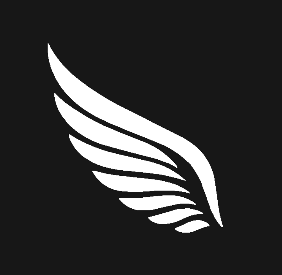 vly.ai logo