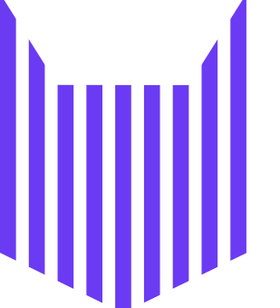 Zebracat