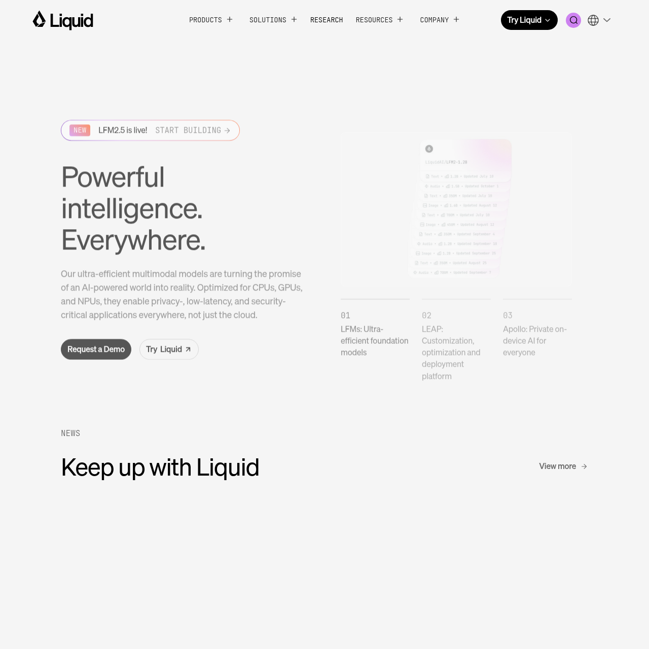 Liquid AI screenshot