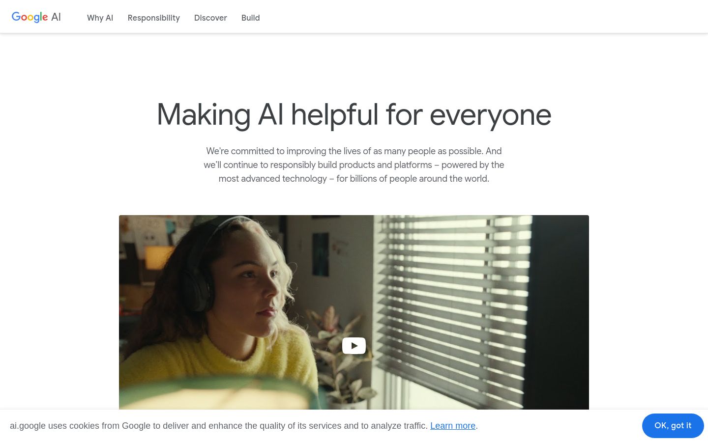Google AI screenshot